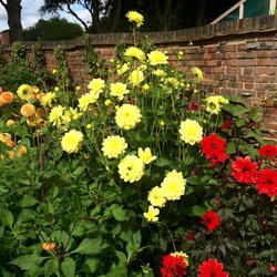 Winterbourne House and Garden