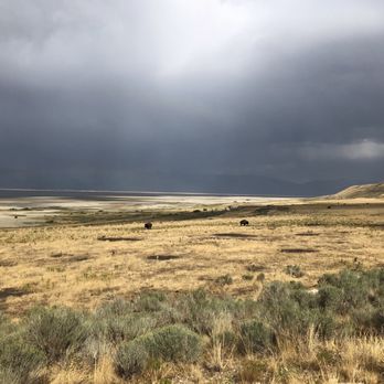 Mokwheel by Antelope E-Bikes - Beautiful area - sudden rain storm didn't affect us much. - Bikes Near Me - St. George, Utah