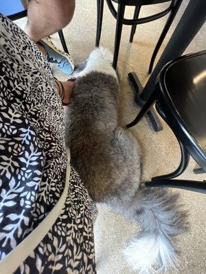 East Hampton Sandwich Co. by null