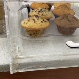 muffins and muffins in a display case