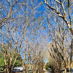 Conway Riverwalk