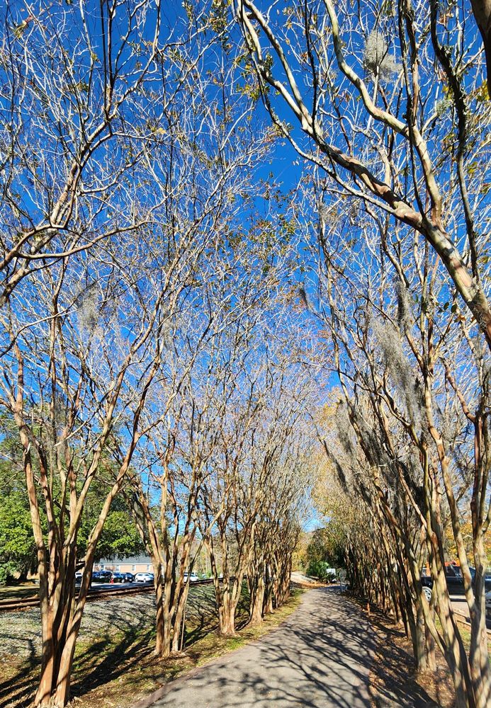 Social spots from Conway Riverwalk