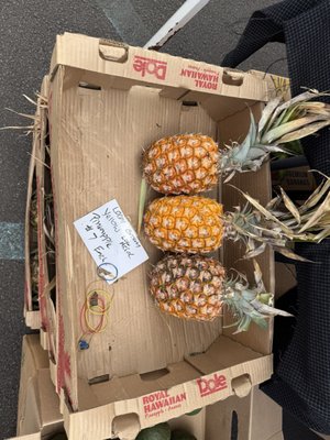 Pure Kona Green Market by null