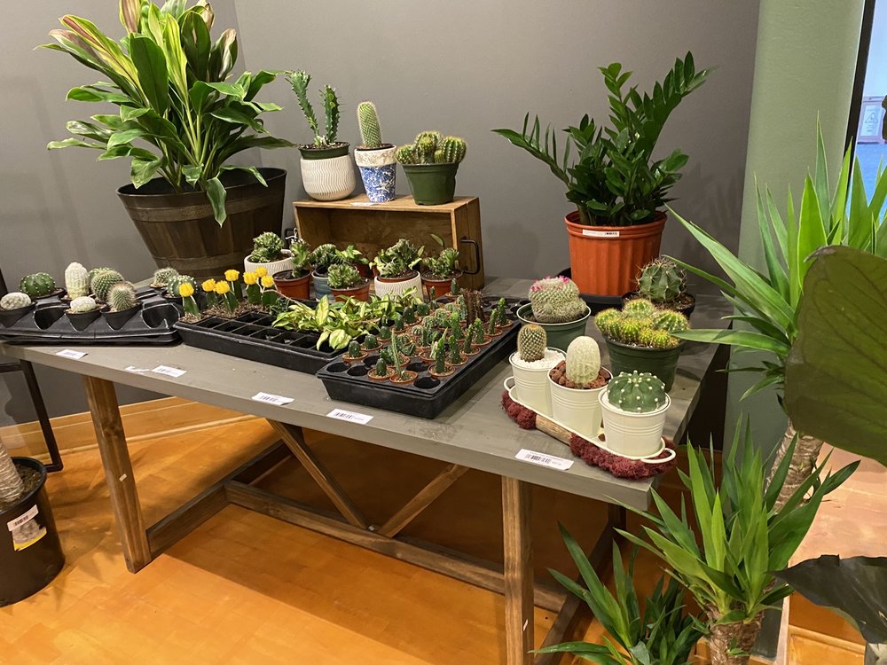 THE POTS 10 Photos 6000 Glades Rd, Boca Raton, Florida Florists