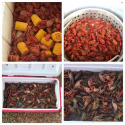 Red Barn Cajun Crawfish & Seafood Market - Check out those Mudbugs from the Red Barn!
