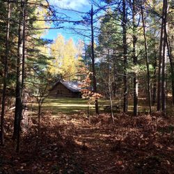 Pigeon River Country State Forest Area