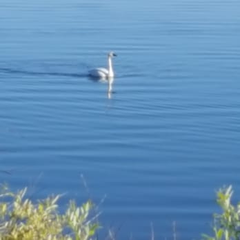 Henry's Lake State Park - Parks Near Me - Island Park, Idaho