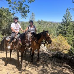 Trail Brothers