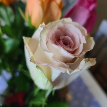 UrbanStems - Browning and wilted petals - Florists Near Me UrbanStems - Browning and wilted petals - Florists Near Me