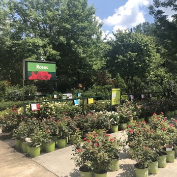 Pike Nurseries - Nurseries & Gardening Near Me - Atlanta, Georgia Pike Nurseries - Nurseries & Gardening Near Me - Atlanta, Georgia