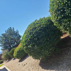 Reno Tahoe Lawn & Landscaping