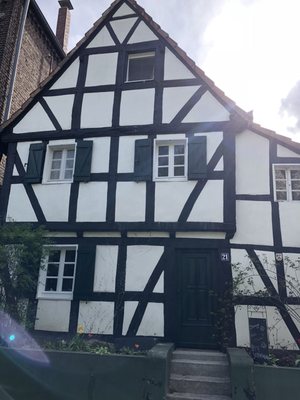 Daisys Tearoom and Garden by null