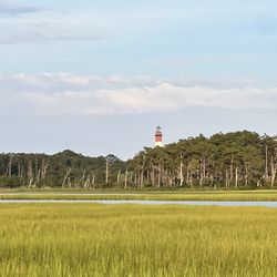 Daisey's Island Cruises