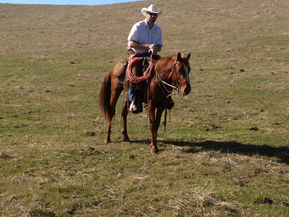 Rocking Horn Ranch Logo