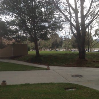 MiraCosta College - Grassy area to sit and read - Colleges & Universities Near Me - Cardiff, California MiraCosta College - Grassy area to sit and read - Colleges & Universities Near Me - Cardiff, California
