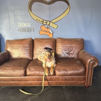 Love Ur K9 - Pet Training Near Me - Redondo Beach, California Love Ur K9 - Pet Training Near Me - Redondo Beach, California