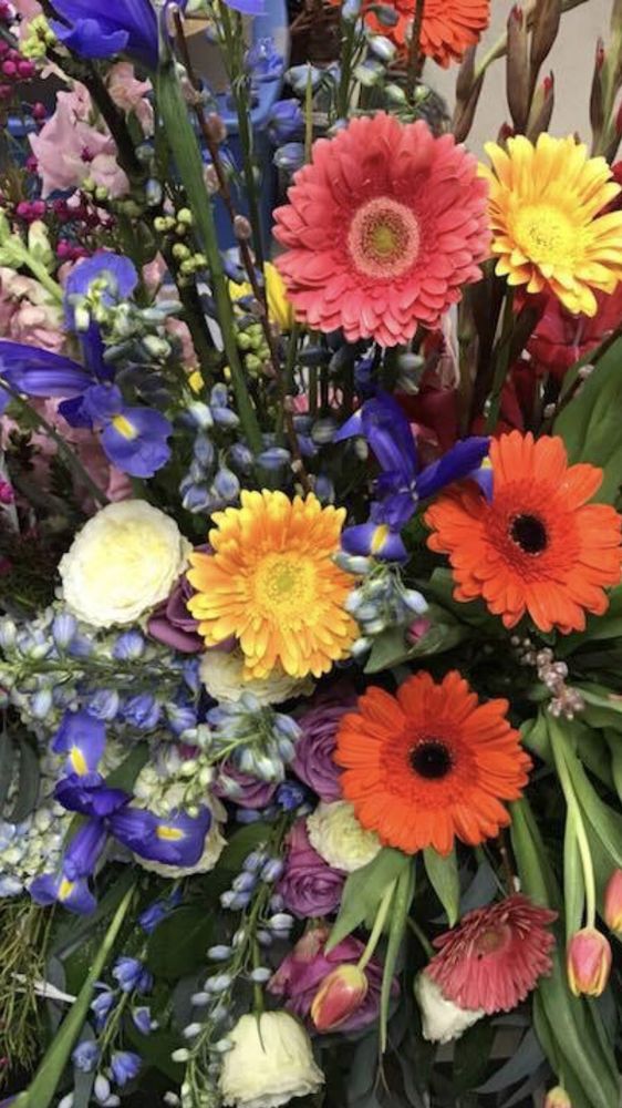 TIGER LILY Updated August 2024 232 Gault Ave N, Fort Payne, Alabama