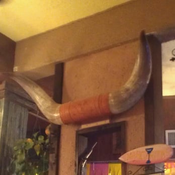 Mexico Restaurant - Mess with da Bull.. you get the horns... Hung above you in Mexico! - Mexican Near Me - Honolulu, Hawaii