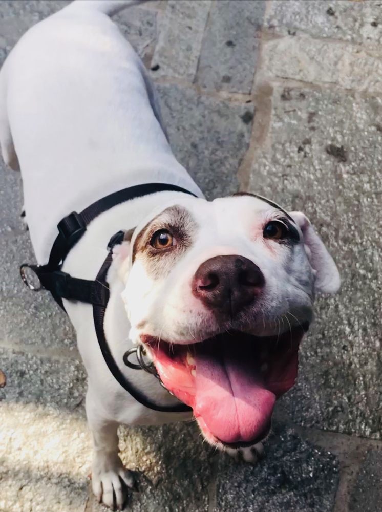 SEE SPOT STAY 13 Photos & 12 Reviews West Hollywood, California