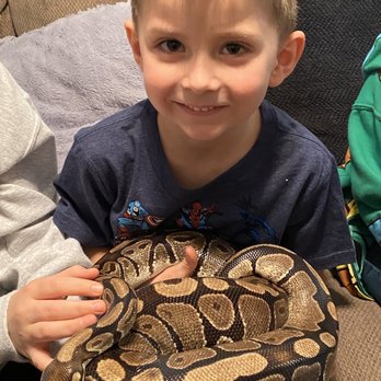 Deb's Dragons Interactive Wildlife Encounters - E loved holding the snake. - Party & Event Planning Near Me Deb's Dragons Interactive Wildlife Encounters - E loved holding the snake. - Party & Event Planning Near Me