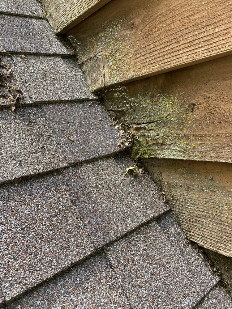 P86 Home Inspectors - mold inspector in Rochester, MN