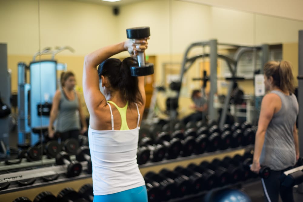 Rosen JCC Orlando - social services organization in Orlando, FL