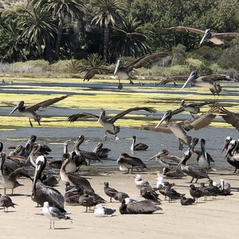 Malibu Lagoon State Beach - Malibu Lagoon ( Pelican preserve) - Beaches Near Me - Malibu, California Malibu Lagoon State Beach - Malibu Lagoon ( Pelican preserve) - Beaches Near Me - Malibu, California