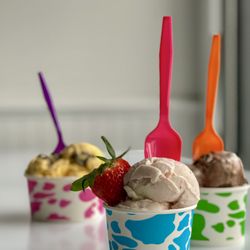 Catchy - Homemade ice cream