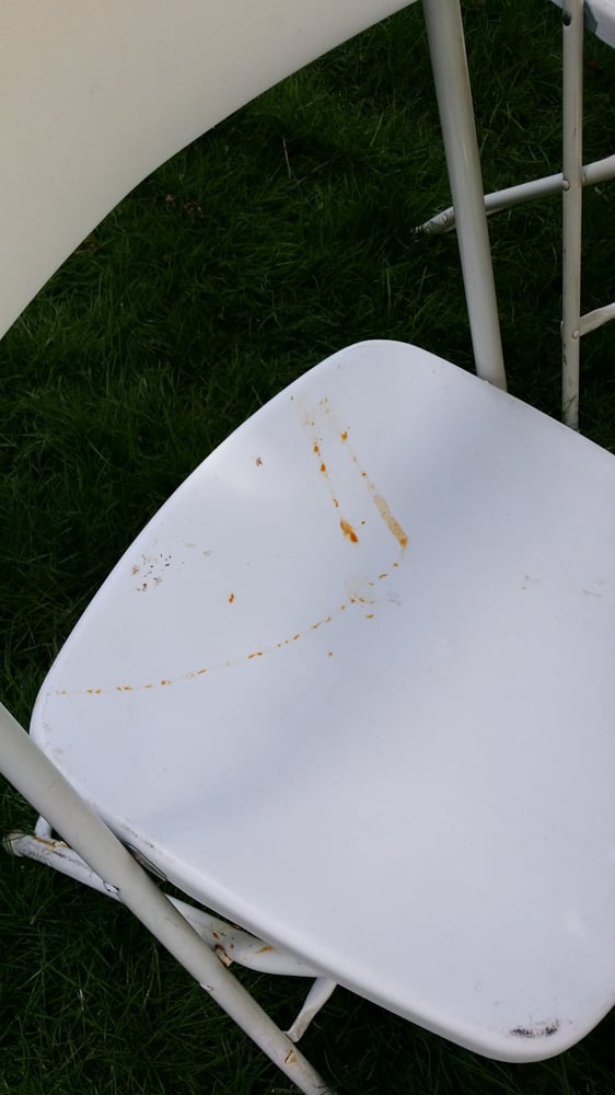 WESTCHESTER TENT & PARTY RENTAL Updated October 2024 16 Reviews