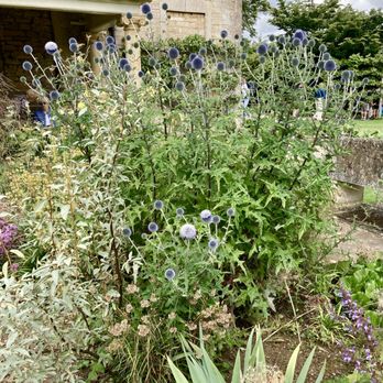 The Courts Garden - The Courts Garden - Botanical Gardens Near Me - Holt, WIL