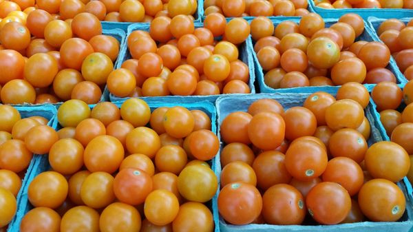 The Original Bardstown Road Farmers' Market Inc. by null