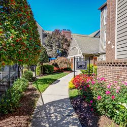 Uptown Gardens