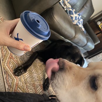 Dutch Bros Coffee - Juice Bars & Smoothies Near Me - Tigard, Oregon