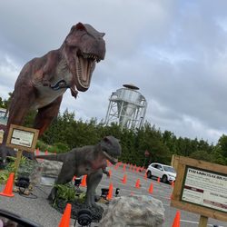 Dino Safari USA