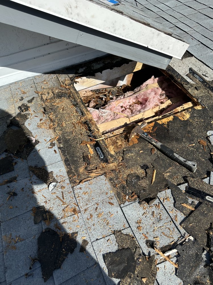 Slide of Tomas Roofer