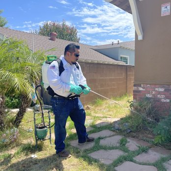 Atomic Pest Solutions - Monthly Exterior Perimeter Treatments Keeps all Crawling Bugs Away! - Pest Control Near Me - Los Angeles, California Atomic Pest Solutions - Monthly Exterior Perimeter Treatments Keeps all Crawling Bugs Away! - Pest Control Near Me - Los Angeles, California