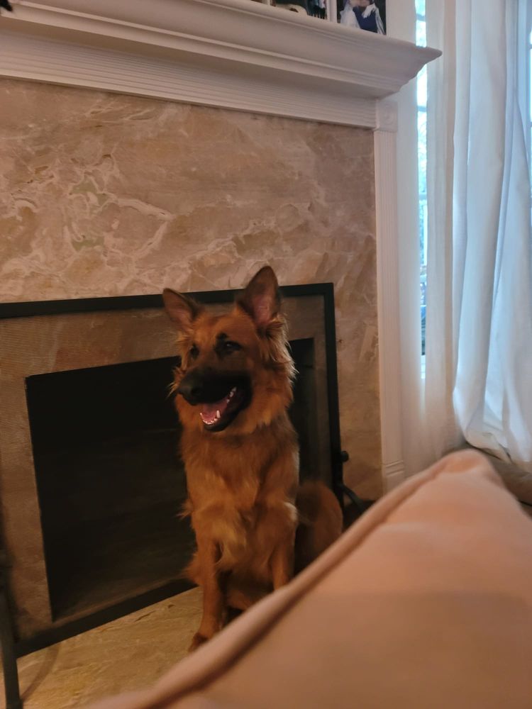 GROOMINGDALES EXPRESS Updated June 2024 28 Photos & 11 Reviews