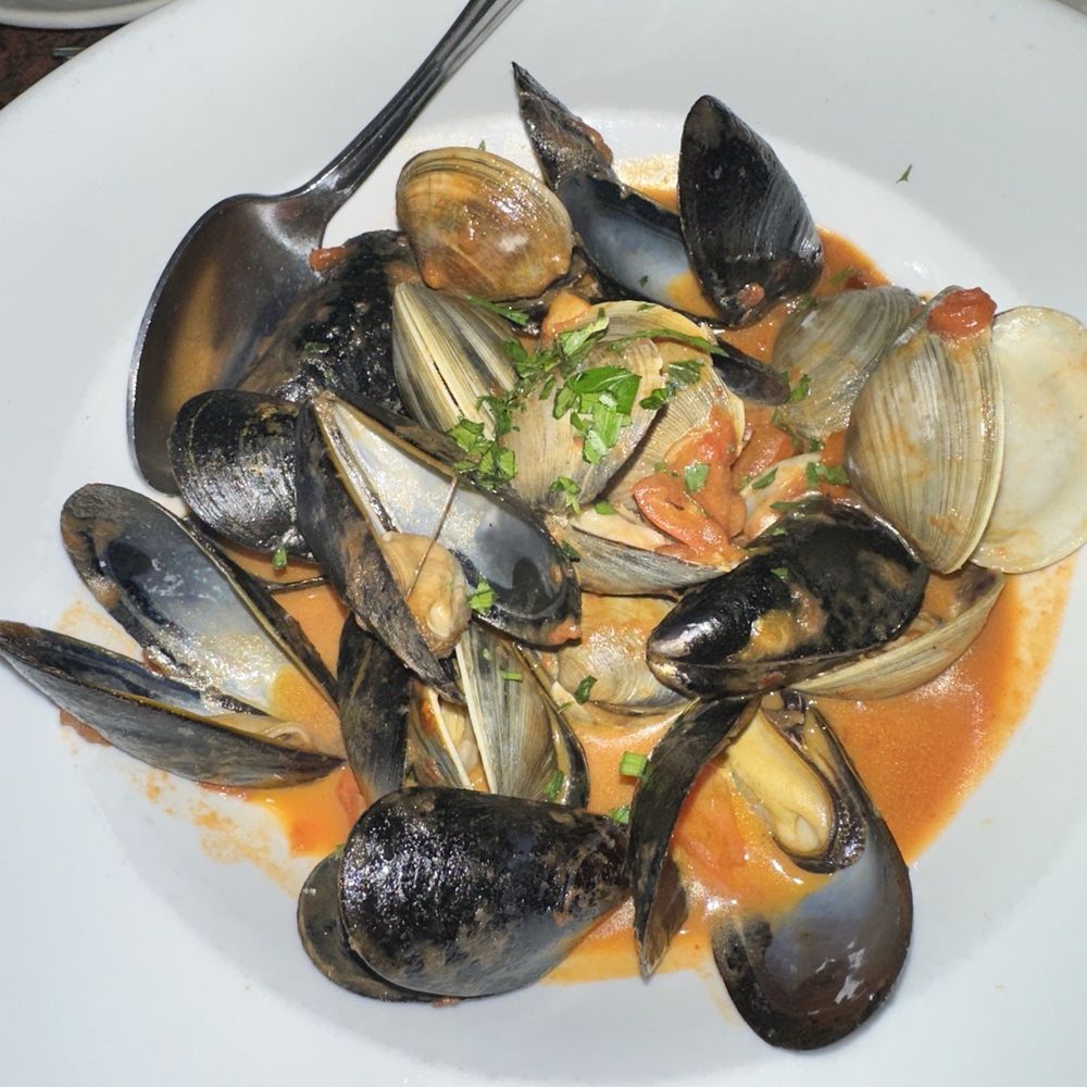 Radicchio Cafe - Clams with red sauce flavorful - Italian Near Me - Philadelphia, Pennsylvania Radicchio Cafe - Clams with red sauce flavorful - Italian Near Me - Philadelphia, Pennsylvania