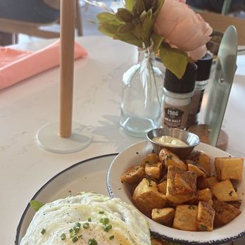 Water Oak Cafe & Bakery - Avocado toast. - Breakfast & Brunch Near Me - Webster, Texas Water Oak Cafe & Bakery - Avocado toast. - Breakfast & Brunch Near Me - Webster, Texas