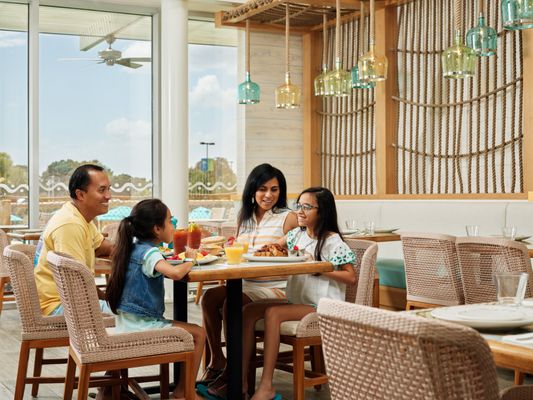 License to Chill Bar & Café by null