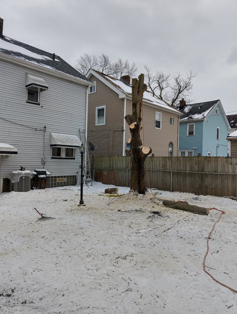 Just Stump It - tree service in Rocky River, OH