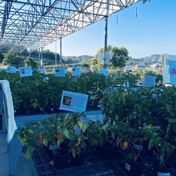Cal Poly Pomona Farm Store - Fruits & Veggies Near Me - Pomona, California