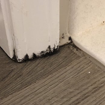 Hotel Breakers - Mold on the baseboard of the door near the shower. - Hotels Near Me - Sandusky, Ohio Hotel Breakers - Mold on the baseboard of the door near the shower. - Hotels Near Me - Sandusky, Ohio