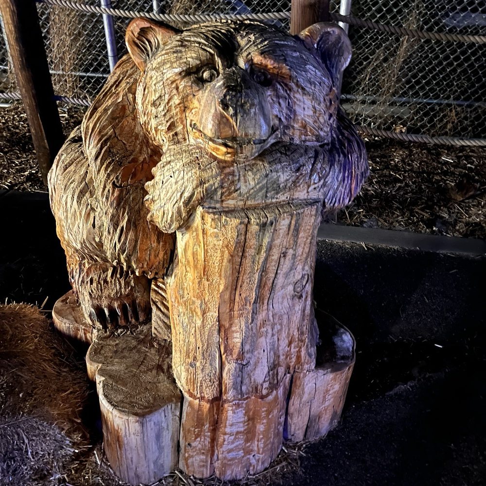 Big Bear Alpine Zoo - Zoos Near Me - Big Bear Lake, California Big Bear Alpine Zoo - Zoos Near Me - Big Bear Lake, California
