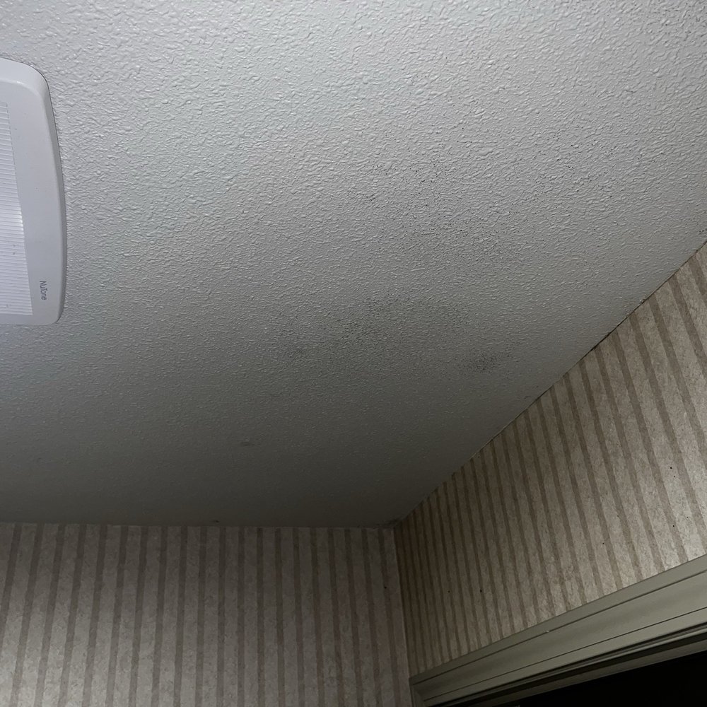 Surf and Sand Lodge - Mold on ceiling - Hotels Near Me - Fort Bragg, California Surf and Sand Lodge - Mold on ceiling - Hotels Near Me - Fort Bragg, California