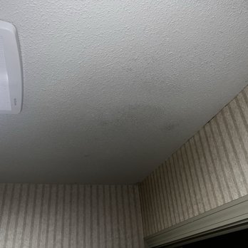 Surf and Sand Lodge - Mold on ceiling - Hotels Near Me - Fort Bragg, California Surf and Sand Lodge - Mold on ceiling - Hotels Near Me - Fort Bragg, California