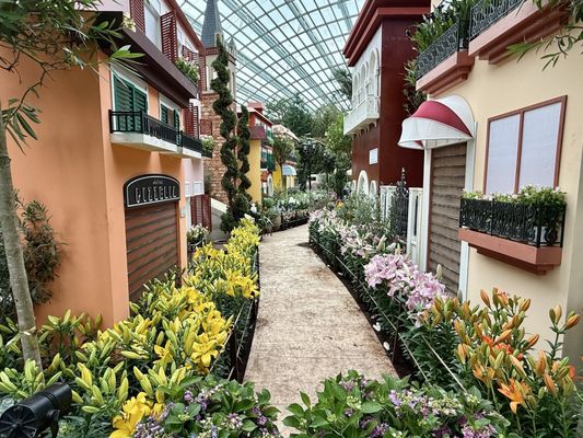 Flower Dome by null