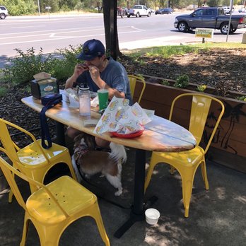 Beach Hut Deli - Dog friendly dog patio - Delis Near Me - Folsom, California Beach Hut Deli - Dog friendly dog patio - Delis Near Me - Folsom, California