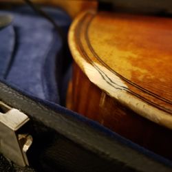 Fallon Violins