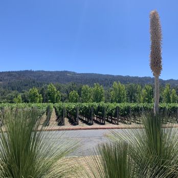 Clos Pegase Winery - One of the views - Venues & Event Spaces Near Me - Calistoga, California
